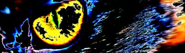 demo_images:
salsa-2-color